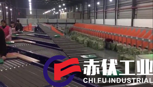 智能交叉帶分揀機(jī)解決方案(圖1)